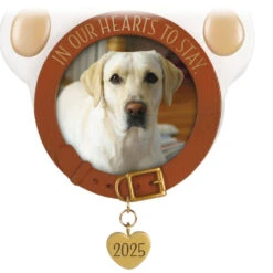 Hallmark In Our Hearts To Stay 2025 Photo Frame Ornament -Hallmark Gift Shop Paw Print Picture Frame Keepsake Ornament 5QHX3262 06
