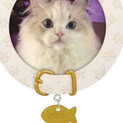Hallmark Furry Friend 2025 Personalized Ornament, Custom Photo -Hallmark Gift Shop Paw Prints Cat Collar Frame Personalized Ornament 3QHE2164B1 06