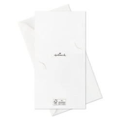 Hallmark Peace And Joy Money-Holder Boxed Christmas Cards Assortment, Pack Of 36 -Hallmark Gift Shop Peace Joy Assorted MoneyHolder Christmas Cards 5CZE2147 08