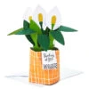 Hallmark Peace Lily Love You 3D Pop-Up Thinking Of You Card -Hallmark Gift Shop Peace Lily Pop Plant 3D PopUp Thinking of You Card 799WDR1202 01