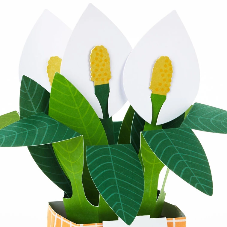 Hallmark Peace Lily Love You 3D Pop-Up Thinking Of You Card 6 Hallmark Peace Lily Love You 3D Pop-Up Thinking Of You Card - Image 4