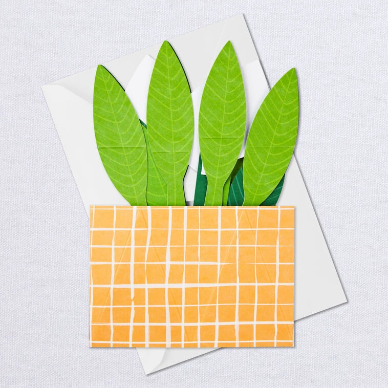 Hallmark Peace Lily Love You 3D Pop-Up Thinking Of You Card 9 Hallmark Peace Lily Love You 3D Pop-Up Thinking Of You Card - Image 7