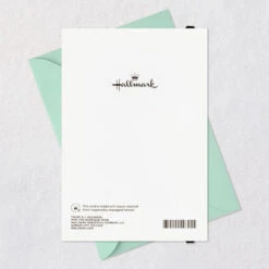 Hallmark Beautifully Exceptional Birthday Card For Her -Hallmark Gift Shop Peach and Burgundy Flowers Birthday Card for Woman 699HBD4873 08