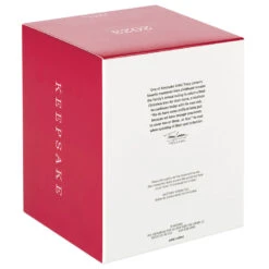 Hallmark The Peanuts® Gang Christmastime Is Here Musical Ornament With Motion -Hallmark Gift Shop Peanuts Gang Ice Skating Keepsake Ornament 3999QXI7037 05