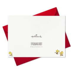 Hallmark Peanuts® Gang Ice-Skating Blank Christmas Note Cards, Pack Of 10 -Hallmark Gift Shop Peanuts Gang IceSkating Blank Christmas Note Cards 1CZE2111 06