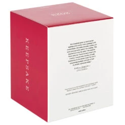 Hallmark Playful Penguins On Ferris Wheel Musical Ornament With Light And Motion 12 Hallmark Playful Penguins On Ferris Wheel Musical Ornament With Light And Motion -Hallmark Gift Shop Penguins on Ferris Wheel Keepsake Ornament 4499QGO2679 05