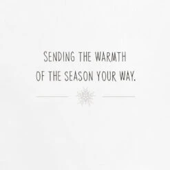 Hallmark UNICEF Winter Lanterns Boxed Holiday Cards, Pack Of 12 -Hallmark Gift Shop People Releasing Lanterns Boxed Holiday Cards 1URS2297 04