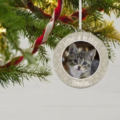 Hallmark Pet Memorial Personalized Text And Photo Ceramic Ornament -Hallmark Gift Shop Pet Memorial Personalized Round Ceramic Ornament 1999QHE1711B32 02