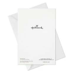 Hallmark Pine Wreath On Wood Plank Door Boxed Christmas Cards, Pack Of 40 -Hallmark Gift Shop Pine Wreath on Wood Plank Boxed Christmas Cards 1XPX2278 07