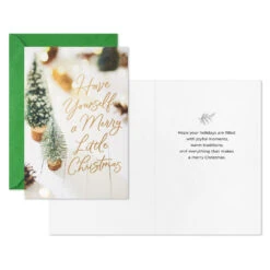 Hallmark Snowy Botanical Boxed Christmas Cards, Pack Of 40 -Hallmark Gift Shop Pinecone and Snow Christmas Cards Bulk Pack 5XPX1349 04