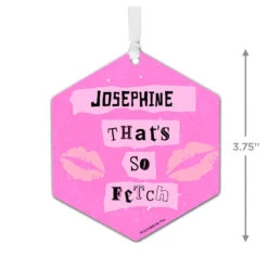 Hallmark Mean Girls Metal Personalized Ornament, Custom Text -Hallmark Gift Shop Pink Mean Girls Personalized Text Ornament 1OFM1002B13 04