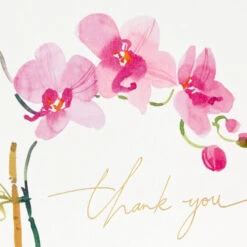 Hallmark Pink Orchids Boxed Blank Thank-You Notes, Pack Of 20 -Hallmark Gift Shop Pink Orchid Boxed ThankYou Cards Pack 5STZ1275 03