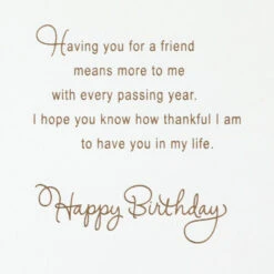 Hallmark A Friend Like You Means So Much Birthday Card For Friend 13 Hallmark A Friend Like You Means So Much Birthday Card For Friend -Hallmark Gift Shop Pink Wreath Birthday Card 859HBD4526 03