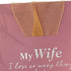 Hallmark I Love So Many Things About You Birthday Card For Wife -Hallmark Gift Shop Pink and Sheer Gold Birthday Card 759FBD4871 08