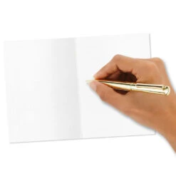 Hallmark Primary Colors Assorted Blank Thank-You Notes, Pack Of 48 -Hallmark Gift Shop Primary Colors Blank ThankYou Notes Assortment Pack 5STZ1057 06