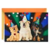Hallmark Party Animal Dogs Funny Musical Birthday Card -Hallmark Gift Shop Puppies in Party Hats Funny Musical Birthday Card 959ARH1457 01