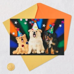 Hallmark Party Animal Dogs Funny Musical Birthday Card -Hallmark Gift Shop Puppies in Party Hats Funny Musical Birthday Card 959ARH1457 05