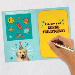 Hallmark Enjoy The Royal Treatment 5th Birthday Card With Crown And Stickers -Hallmark Gift Shop Puppy Dog 5th Birthday Card With Crown and Stickers 699HKB6261 11