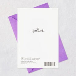 Hallmark A Million Reasons To Celebrate Birthday Card For Niece -Hallmark Gift Shop Purple Confetti Birthday Card for Niece 759FBD4885 11