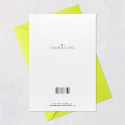 Hallmark Happy Whole Year Birthday Card -Hallmark Gift Shop Rainbow Banner on Cake Birthday Card 659LAD4868 07