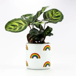 Hallmark Gift Shop -Hallmark Gift Shop Rainbow Icons on White Planter 115440 02