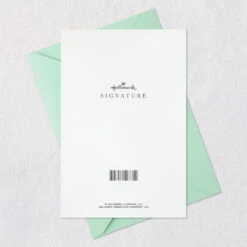 Hallmark For The Record Birthday Card -Hallmark Gift Shop Record Player and Vinyl Record Birthday Card 859LAD3016 07