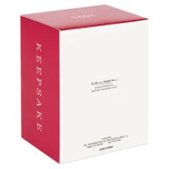 Hallmark Star Wars: Return Of The Jedi™ A Curious Encounter On Endor™ Ornament -Hallmark Gift Shop Return of the Jedi Wicket Ewok Keepsake Ornament 2699QXI7097 05