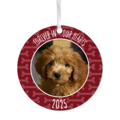 Hallmark Pet Memorial Round Metal Personalized Ornament, Custom Photo And Text