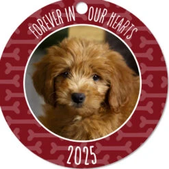 Hallmark Pet Memorial Round Metal Personalized Ornament, Custom Photo And Text -Hallmark Gift Shop Round Pet Personalized Ornament 1OFM1006B2 06