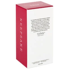 Hallmark Toymaker Santa Ornament -Hallmark Gift Shop Santa With Drone Keepsake Ornament 1999QXR8047 05