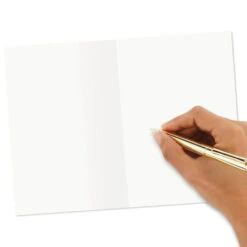 Hallmark Funny All-Occasion Boxed Blank Cards Assortment, Pack Of 12 -Hallmark Gift Shop Shoebox Funny Assorted Boxed AllOccasion Cards 3EDX1193 06