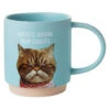 Hallmark Judgmental Cat Funny Mug, 16 Oz. -Hallmark Gift Shop Shoebox Judgmental Cat Funny Coffee Mug 1MUG3533 01