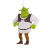 Shrek Hallmark Ornament -Hallmark Gift Shop Shrek Christmas Ornament 3HCM4270 01