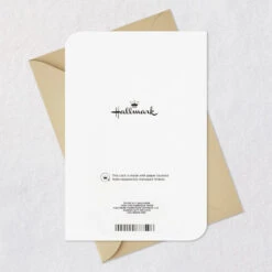 Hallmark Made For Each Other Anniversary Card For Couple -Hallmark Gift Shop Silver Star and Gold Heart Anniversary Card 699AVY3449 08