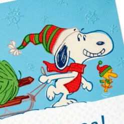 Hallmark Peanuts® Snoopy Hauling The Tree Boxed Christmas Cards, Pack Of 16 -Hallmark Gift Shop Snoopy and Woodstock Tree Christmas Cards Pack 1XPX2736 05