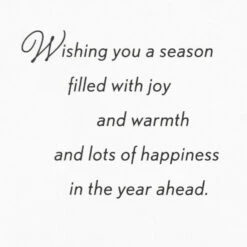 Hallmark Snowflakes On Gold Money Holder Christmas Cards, Pack Of 10 -Hallmark Gift Shop Snowflakes on Gold Money Holder Christmas Cards Pack 899XMH9165 03