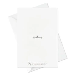 Hallmark Soft Sparkles Boxed Holiday Cards Assortment, Pack Of 36 -Hallmark Gift Shop Soft Sparkles Assorted Boxed Christmas Cards 5XPX2313 08