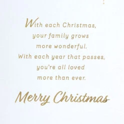 Hallmark You're All Loved So Much Christmas Card For Son And Family -Hallmark Gift Shop Sparkly Snowflakes Christmas Card for Son and Family 799XZH1925 03
