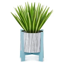Hallmark Spider Plant Keep Growing 3D Pop-Up Hello Card -Hallmark Gift Shop Spider Plant Pop Plant 3D PopUp Hello Card 799WDR1201 02