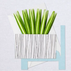 Hallmark Spider Plant Keep Growing 3D Pop-Up Hello Card -Hallmark Gift Shop Spider Plant Pop Plant 3D PopUp Hello Card 799WDR1201 07