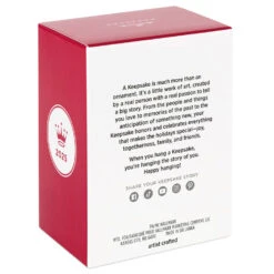 Hallmark Nickelodeon SpongeBob SquarePants Sponge-Boxed For Christmas Ornament -Hallmark Gift Shop SpongeBob in Present Keepsake Ornament 5QXI8622 09