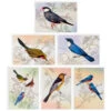 Hallmark Vintage Bird Artwork Assorted Notes, Pack Of 24 -Hallmark Gift Shop Springtime Birds Note Card Assortment Pack 5STZ1286 01