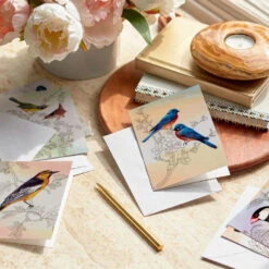 Hallmark Vintage Bird Artwork Assorted Notes, Pack Of 24 -Hallmark Gift Shop Springtime Birds Note Card Assortment Pack 5STZ1286 05