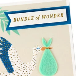 Hallmark Bundle Of Wonder New Baby Boy Card -Hallmark Gift Shop Stork and Leaves New Baby Boy Card 699G2583 04