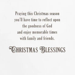 Hallmark Be Still And Know Snowy Landscape Religious Boxed Christmas Cards, Pack Of 16 -Hallmark Gift Shop Stream in Snow Religious DaySpring Christmas Cards 1DSH1183 04