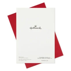 Hallmark The Stockings Were Hung Boxed Christmas Cards, Pack Of 12 -Hallmark Gift Shop The Stockings Were Hung Boxed Christmas Cards 1XPX1121 07