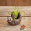 Natural Life Faux Succulent In Sloth Planter, 2" -Hallmark Gift Shop Tiny Sloth Ceramic Planter With Faux Succulent PLNT065 01