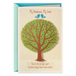 Hallmark All The Wonderful Things You Are To Me Romantic Birthday Card For Husband