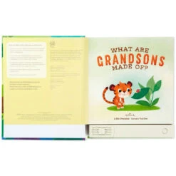 Hallmark What Are Grandsons Made Of? Recordable Storybook -Hallmark Gift Shop What Are Grandsons Made Of Recordable Storybook 1KOB1230 03