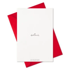 Hallmark Whimsical Assortment Boxed Christmas Cards, Pack Of 24 -Hallmark Gift Shop Whimsical Assortment Boxed Christmas Cards 5XPX1000 08